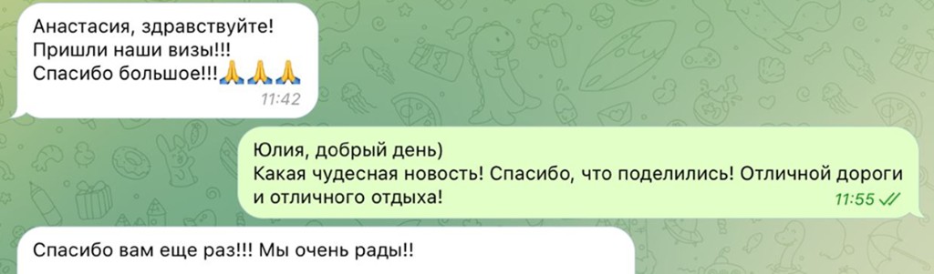 Отзыв: пришли наши визы
